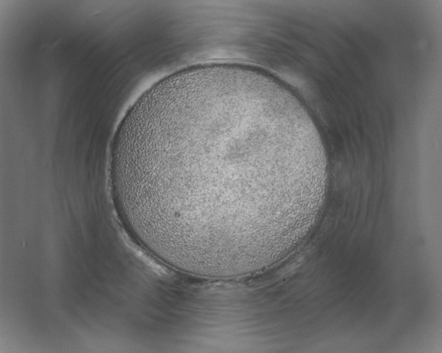 X0000063451374200602101637