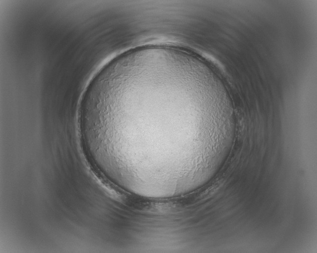 X0000063451375200602101637