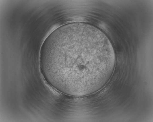 X0000063451378200602101637