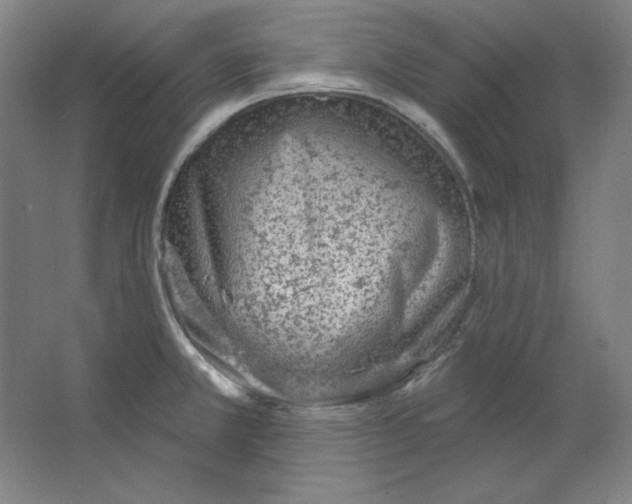 X0000063451381200602101637