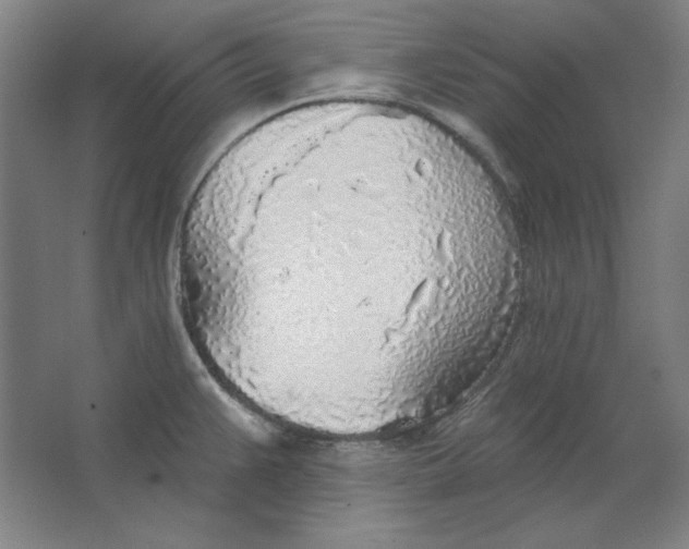 X0000063451383200602101637