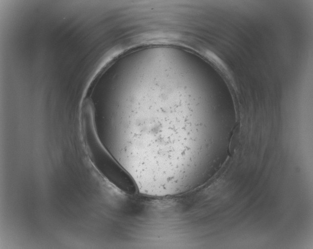 X0000063451384200602101637