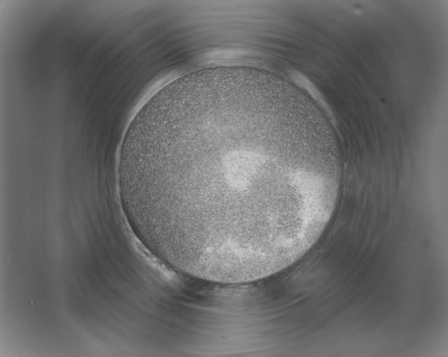 X0000063451386200602101637