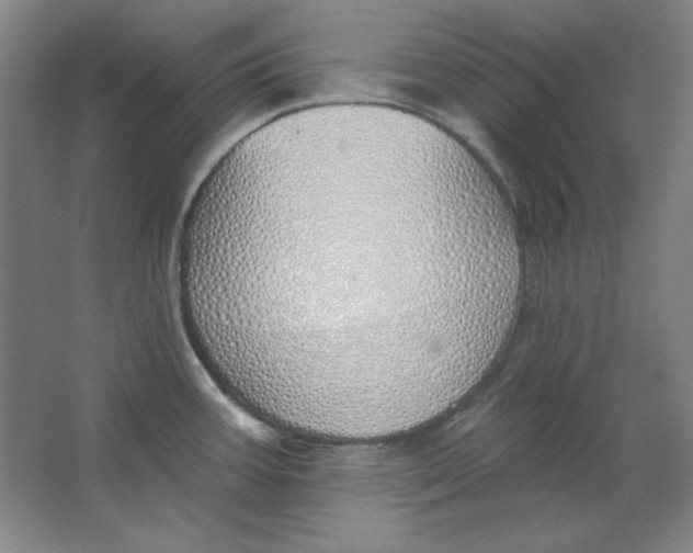 X0000063451387200602101637