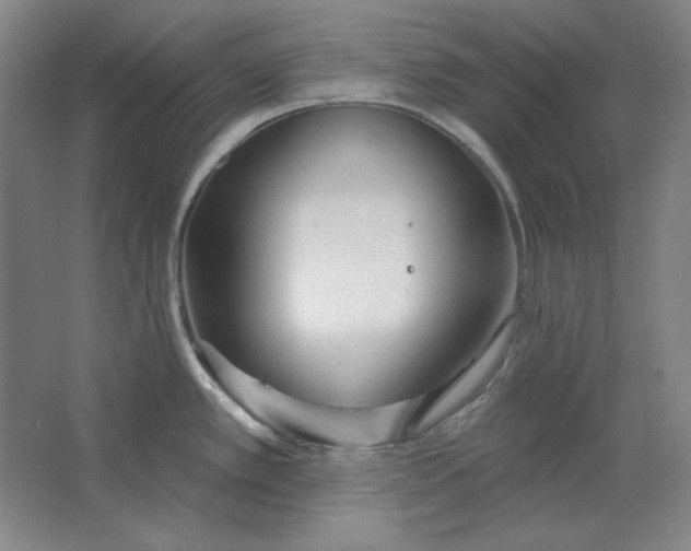 X0000063451389200602101637