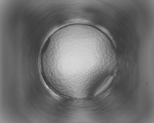 X0000063451391200602101637