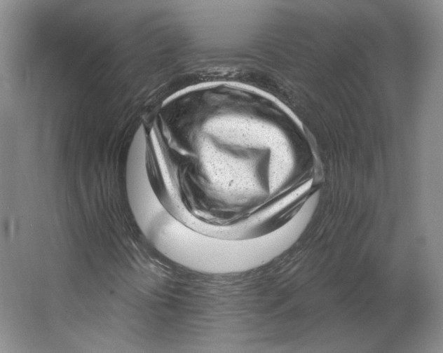 X0000063451394200602101636