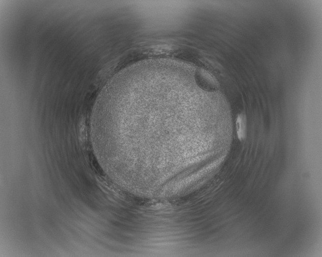 X0000063451395200602101636