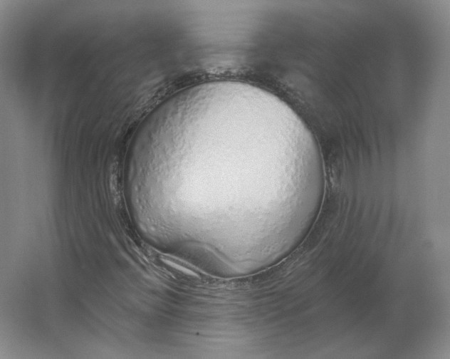 X0000063451396200602101636