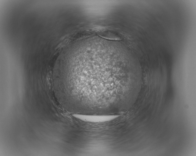 X0000063451397200602101636