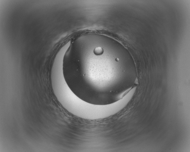 X0000063451398200602101636