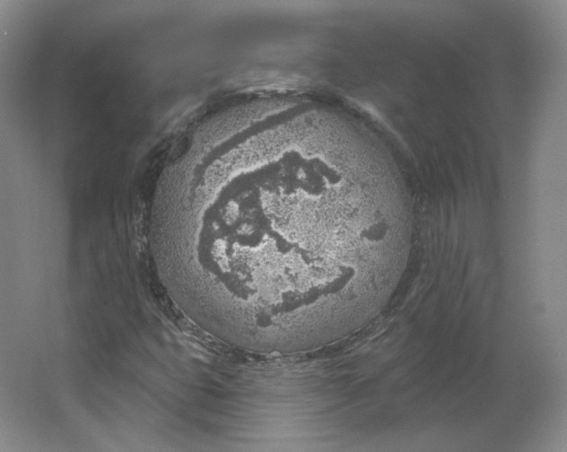 X0000063451399200602101636