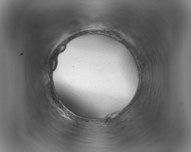 X0000063451400200602101636