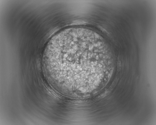 X0000063451401200602101636