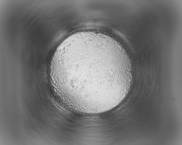 X0000063451403200602101636