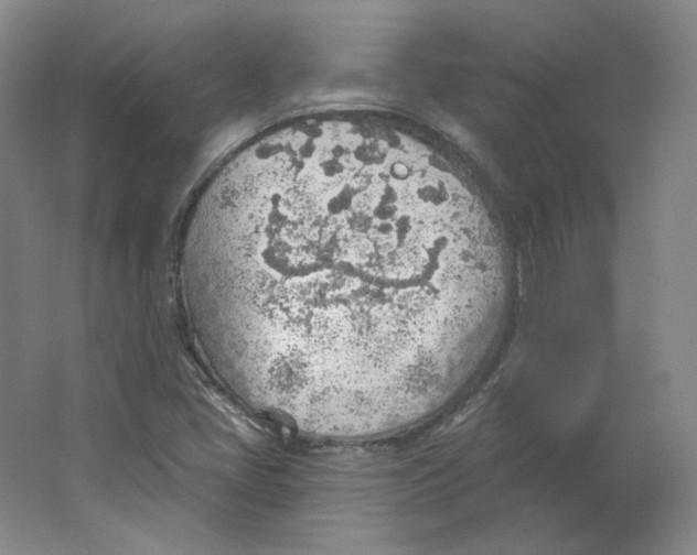 X0000063451405200602101636