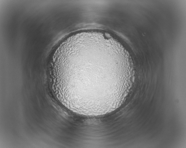 X0000063451407200602101636