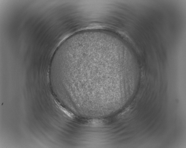 X0000063451409200602101636