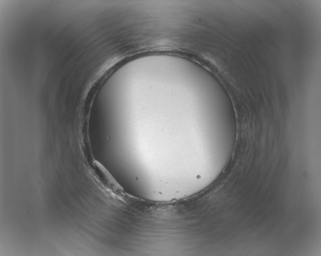 X0000063451410200602101636