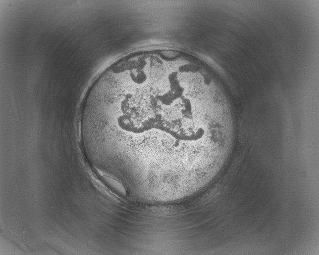 X0000063451413200602101636