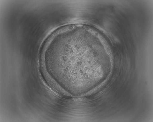 X0000063451415200602101636