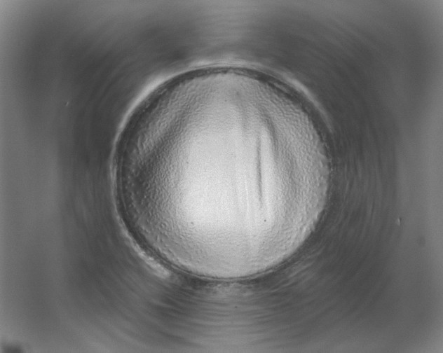 X0000063451416200602101636