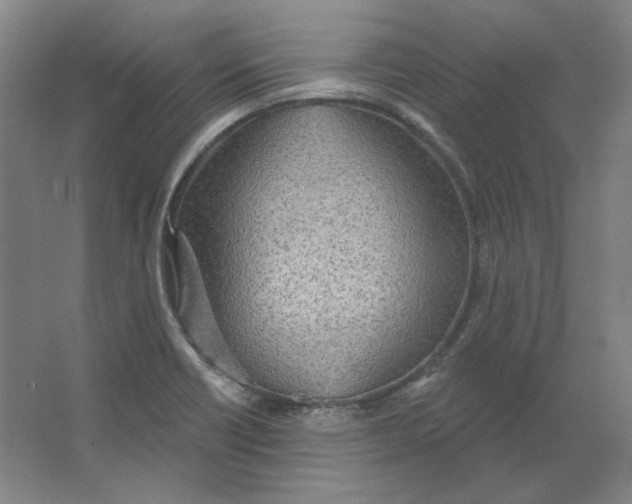 X0000063451418200602101636