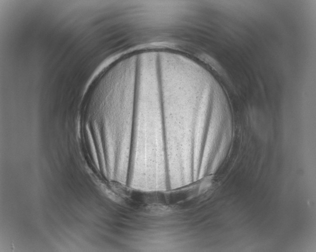 X0000063451420200602101636