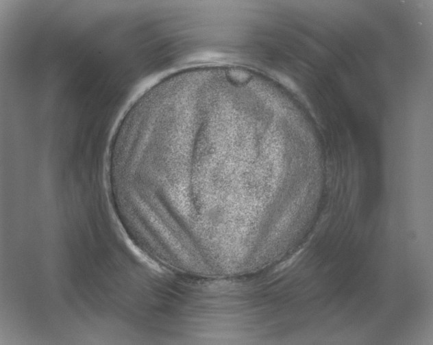 X0000063451421200602101636