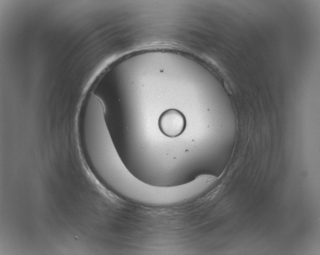 X0000063451422200602101636