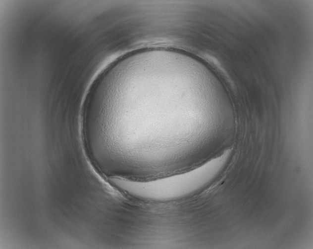 X0000063451424200602101637