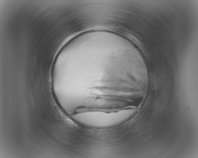 X0000063451428200602101637