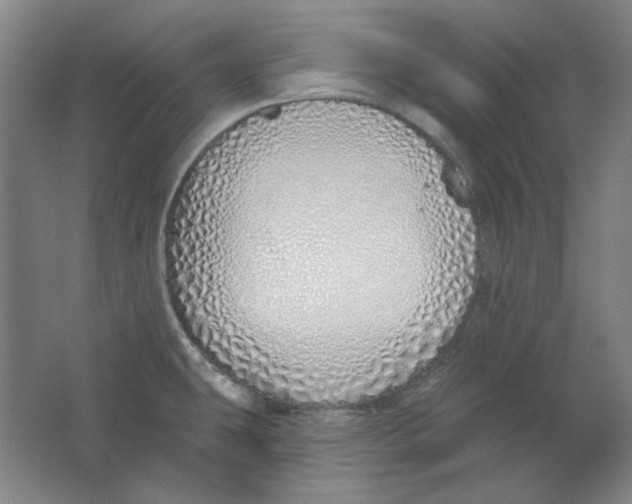 X0000063451431200602101637