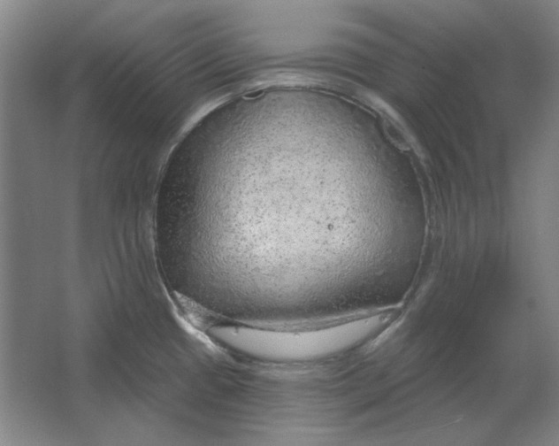 X0000063451433200602101637