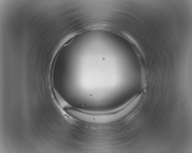 X0000063451434200602101637