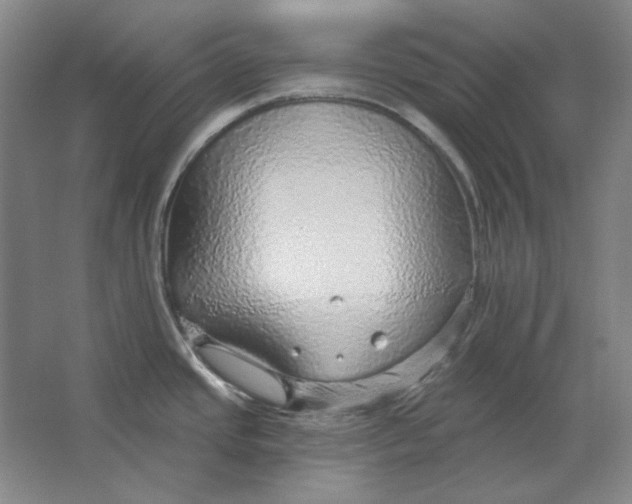 X0000063451437200602101637