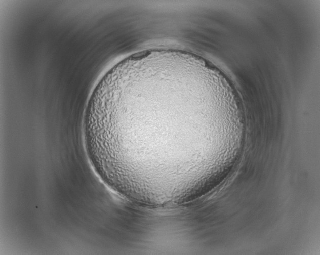 X0000063451440200602101637