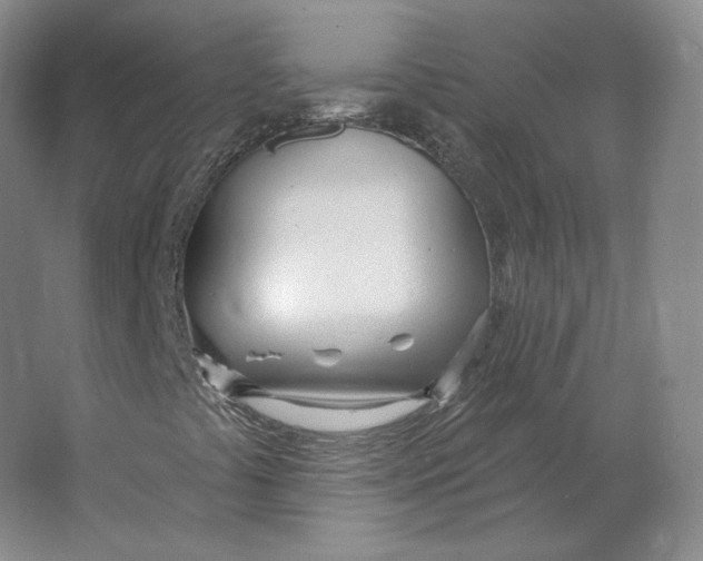 X0000063451441200602101636