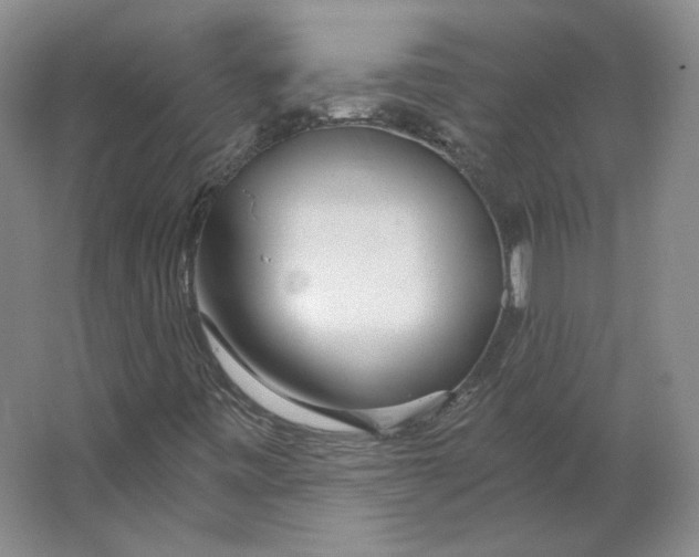 X0000063451443200602101636