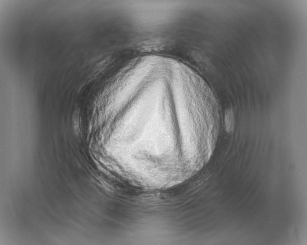 X0000063451444200602101636