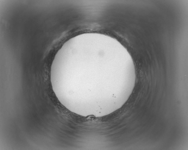 X0000063451447200602101636