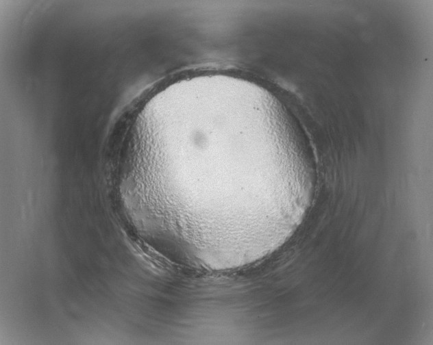 X0000063451448200602101636