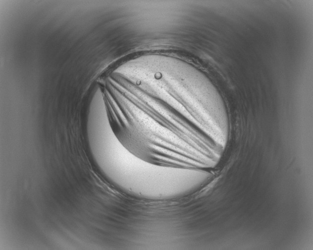 X0000063451449200602101636