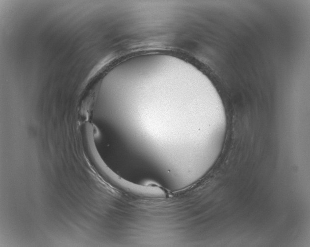 X0000063451450200602101636