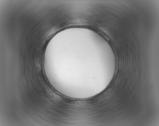 X0000063451451200602101636