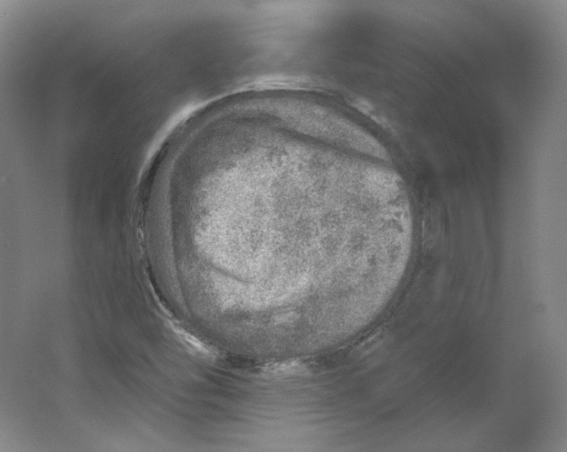 X0000063451454200602101636