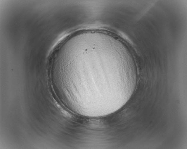 X0000063451456200602101636