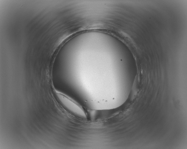 X0000063451457200602101636