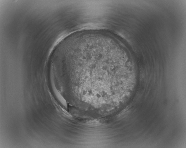 X0000063451459200602101636