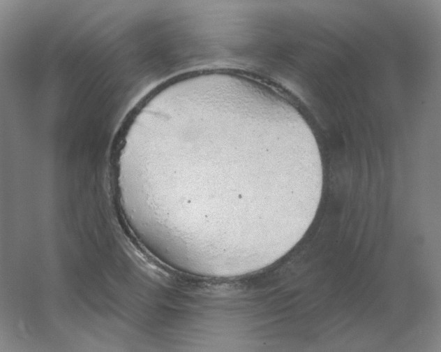 X0000063451460200602101636